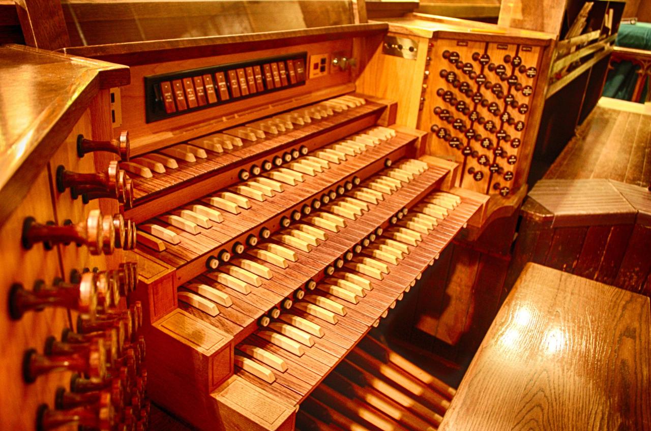 Els matins de l'Orgue