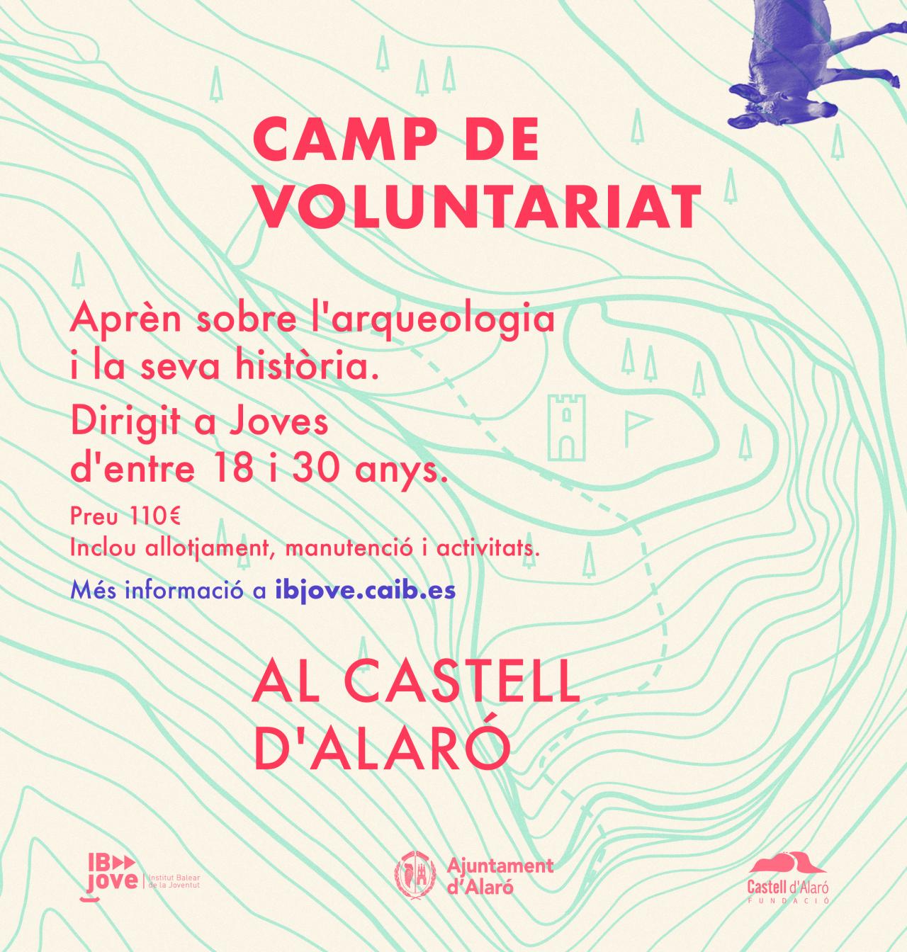 Camp de Voluntariat