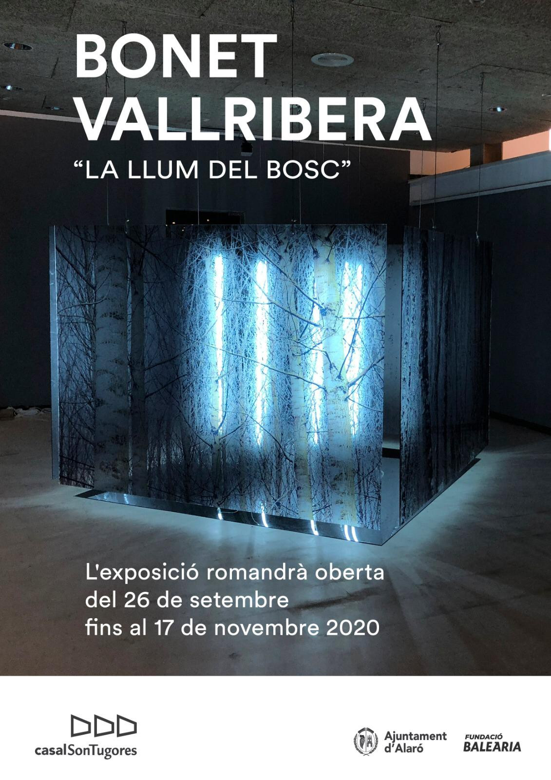 EXPOSICIÓ "LA LLUM DEL BOSC"
