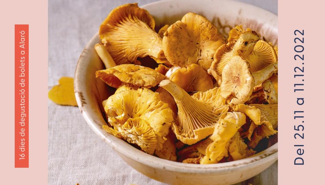 Alaró cuina amb bolets 2022