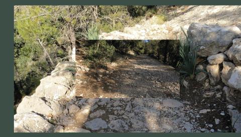 Viure amb el castell al cos