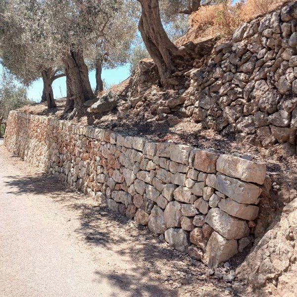 camí del Castell 